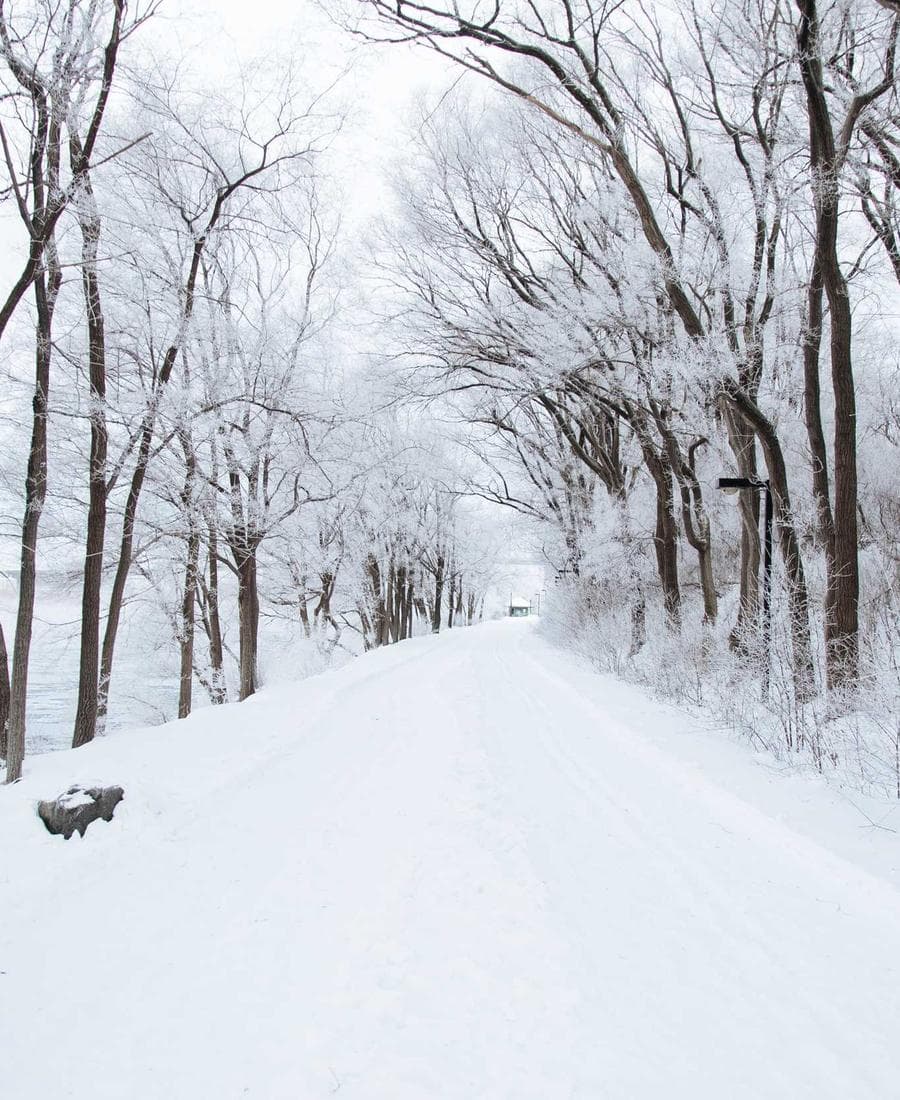 Portrait Tierknotenwerk